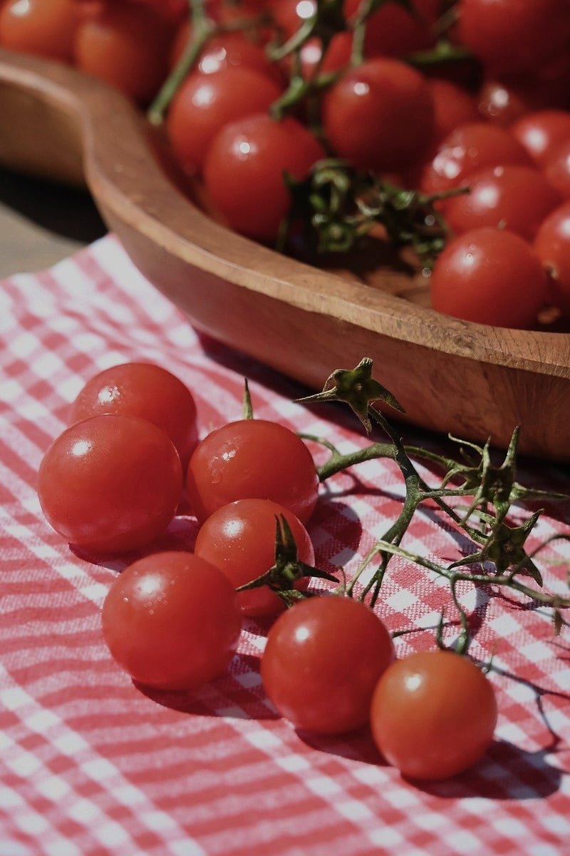 La Tomatina Festival